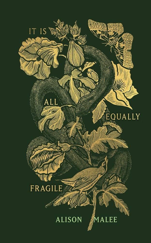 It Is All Equally Fragile