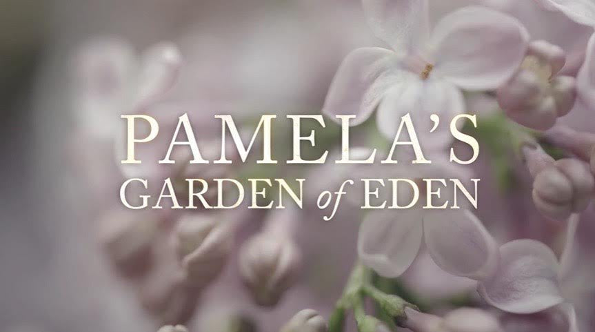 Working with Pamela Anderson on Pamela’s Garden of Eden