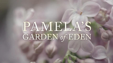 Working with Pamela Anderson on Pamela’s Garden of Eden