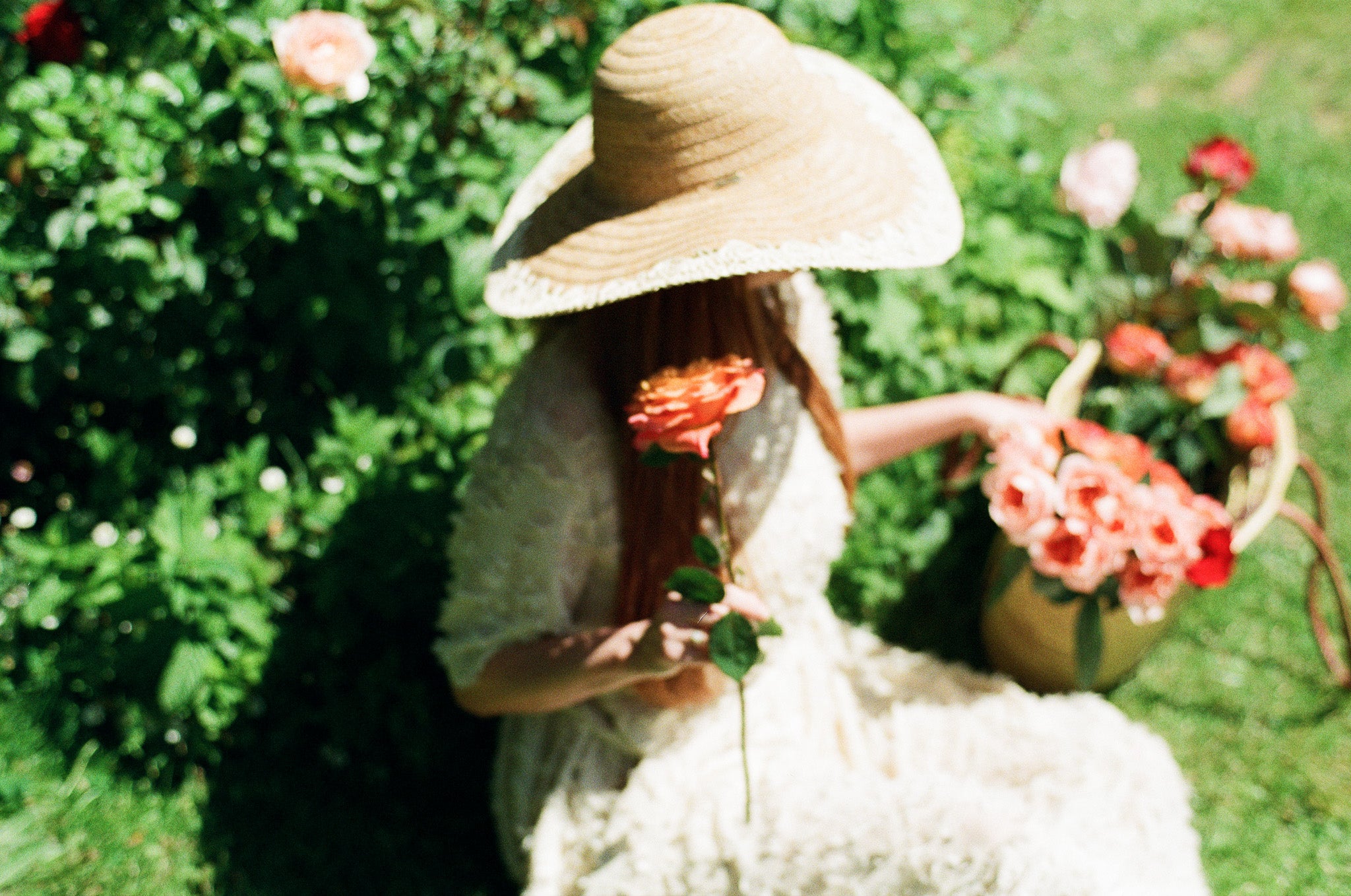 Zingaro - Victoria Florist & Perfumery | Local Flower Delivery