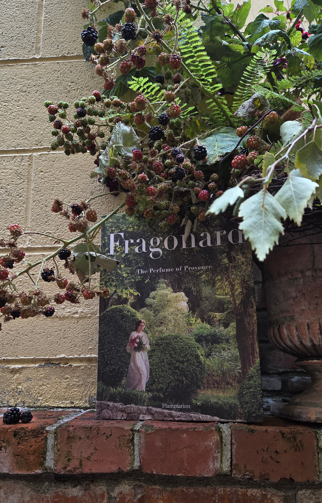 Fragonard book