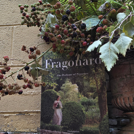 Fragonard book