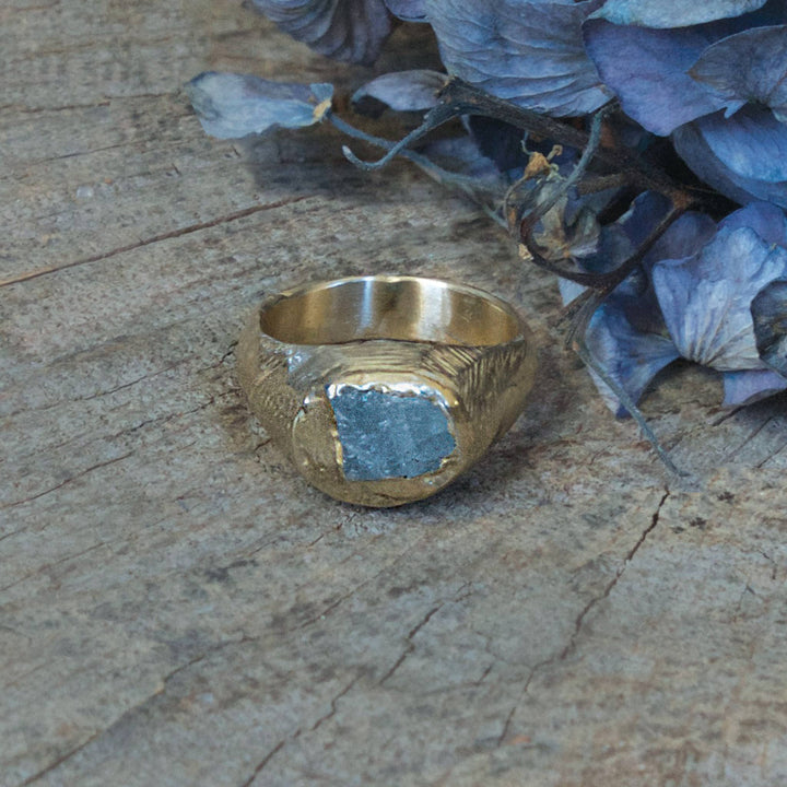 Guardian Signet Ring