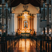 Diffuser Oil - Basilica