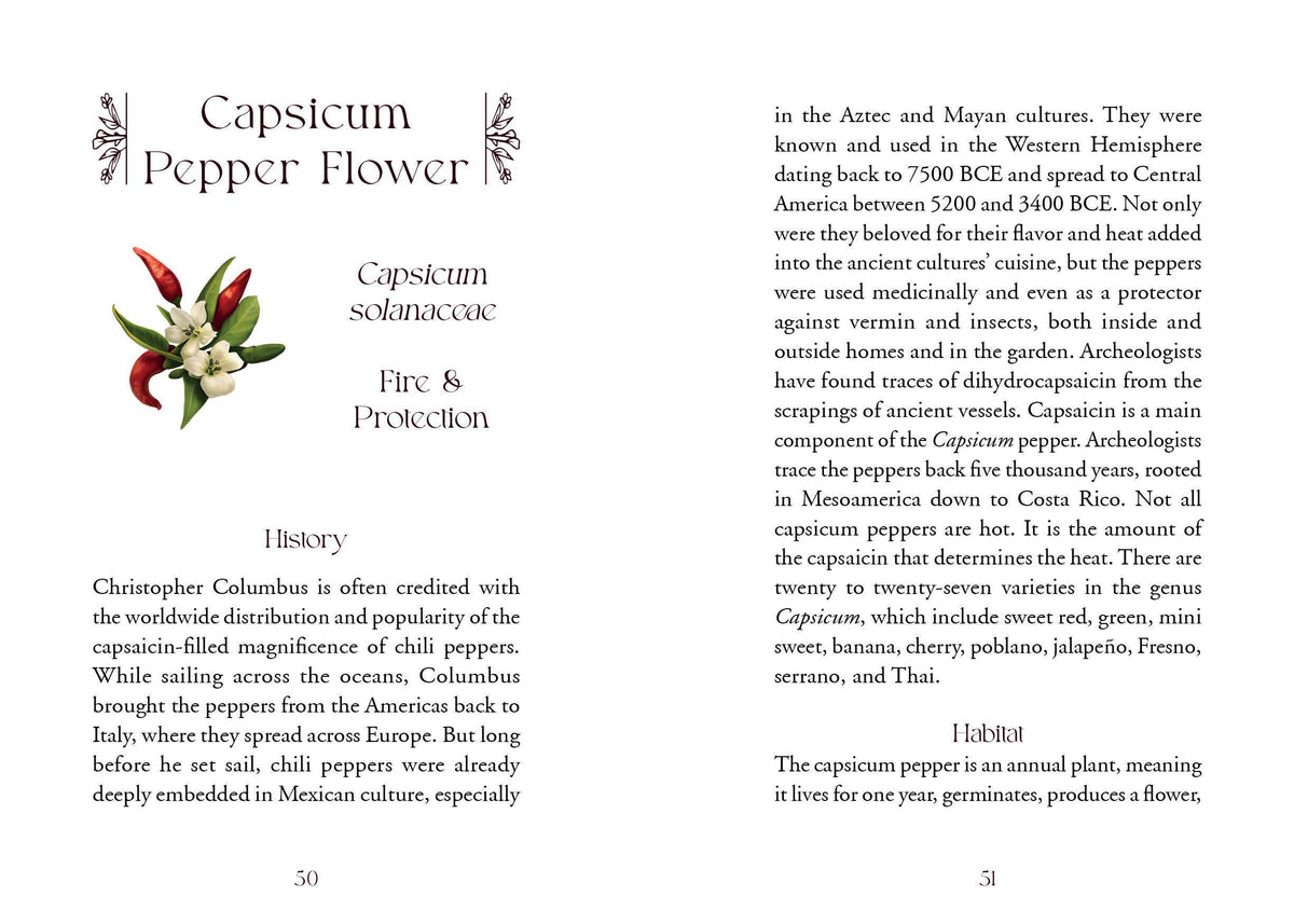 The Flowerwise Oracle