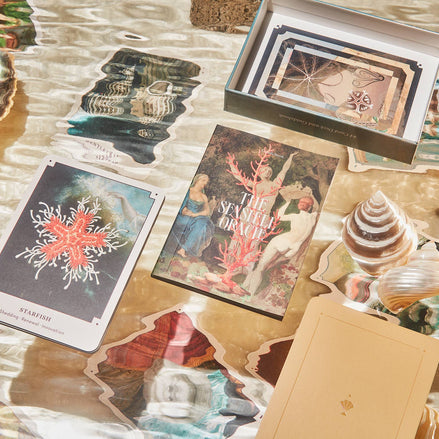 The Seashell Oracle: 44 Card Deck and Guidebook