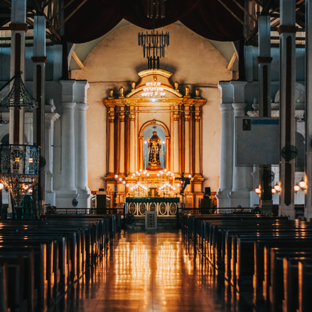 Diffuser Oil - Basilica