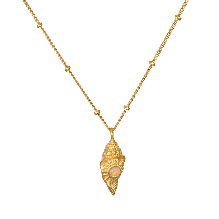 Conch Shell Necklace