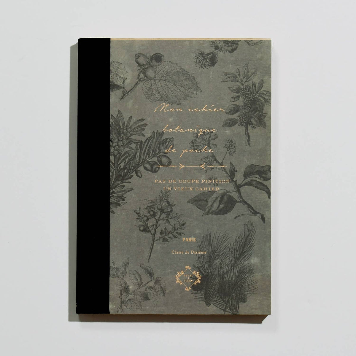 B5 Rough NoteBook: Botanical | Vintage Style Journal 7