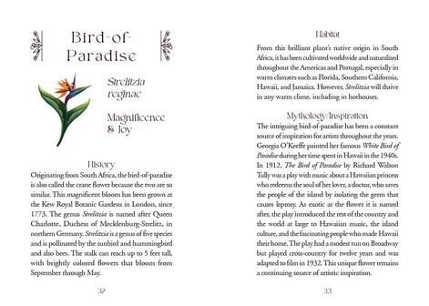 The Flowerwise Oracle