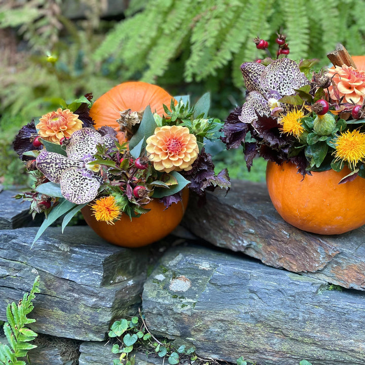 Thanksgiving Table Centerpiece