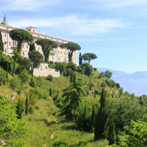 NEW! Diffuser Oil - Monte Vetivera