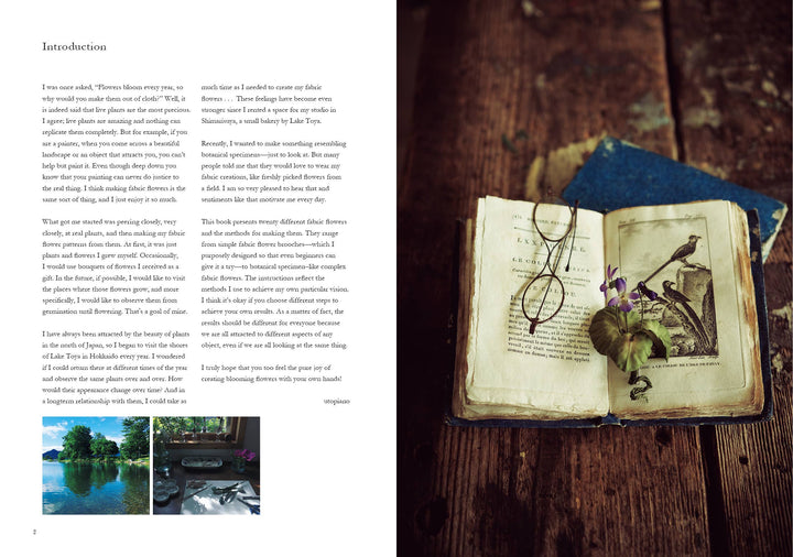 The Herbarium of Fabric Flowers