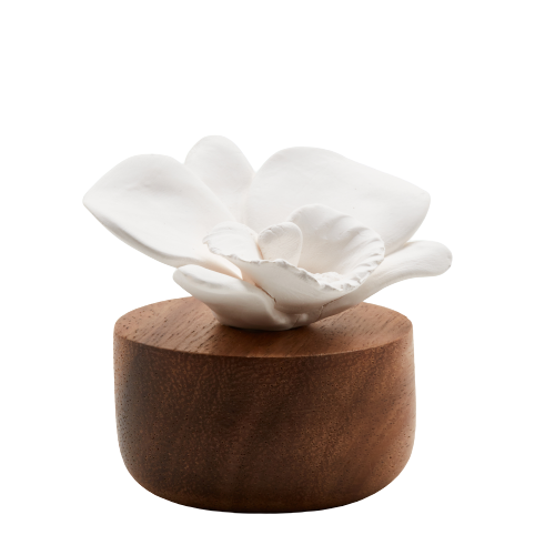 French Porcelain Diffuser - Orchid