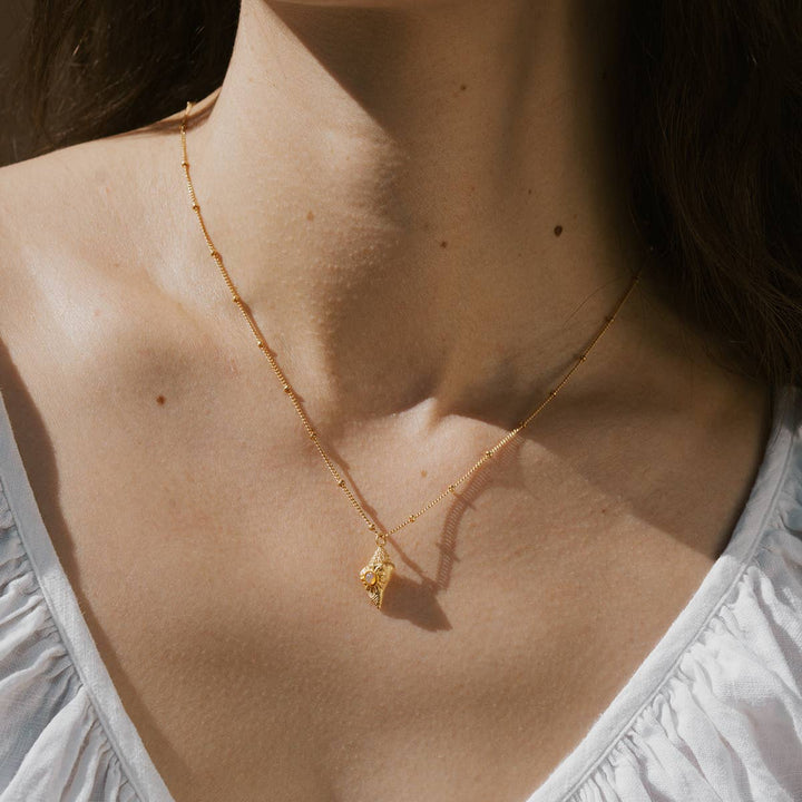 Conch Shell Necklace