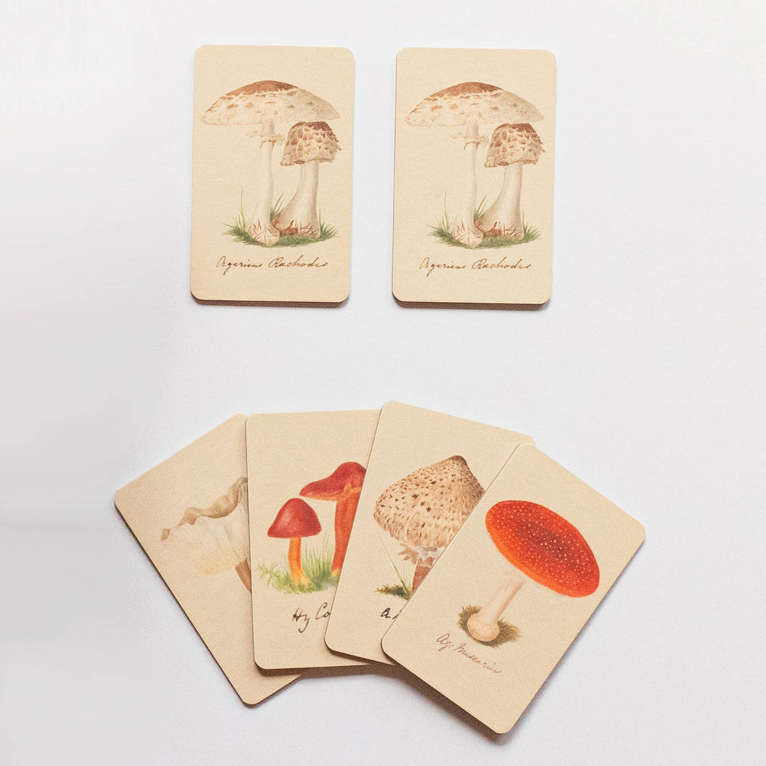 Matching Game - Fungi