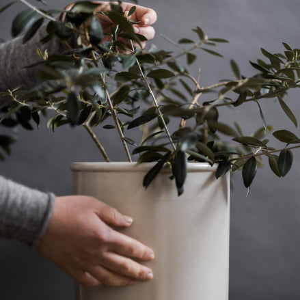Ceramic Pot