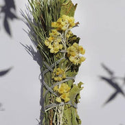 Organic Saining Stick - Bear's Bouquet