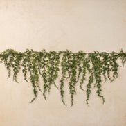 5.75' SOFT TOUCH WEEPING CEDAR GARLAND