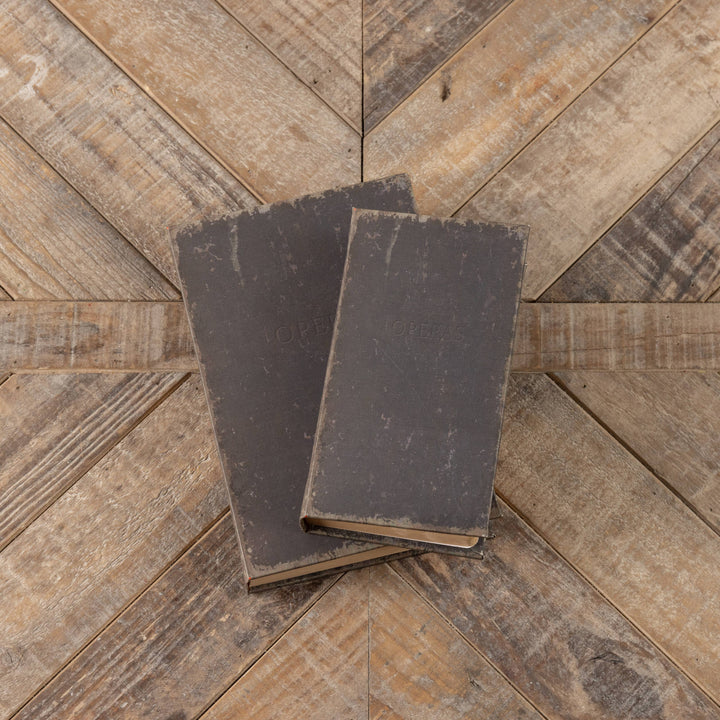 8.5" OPERAS JOURNAL