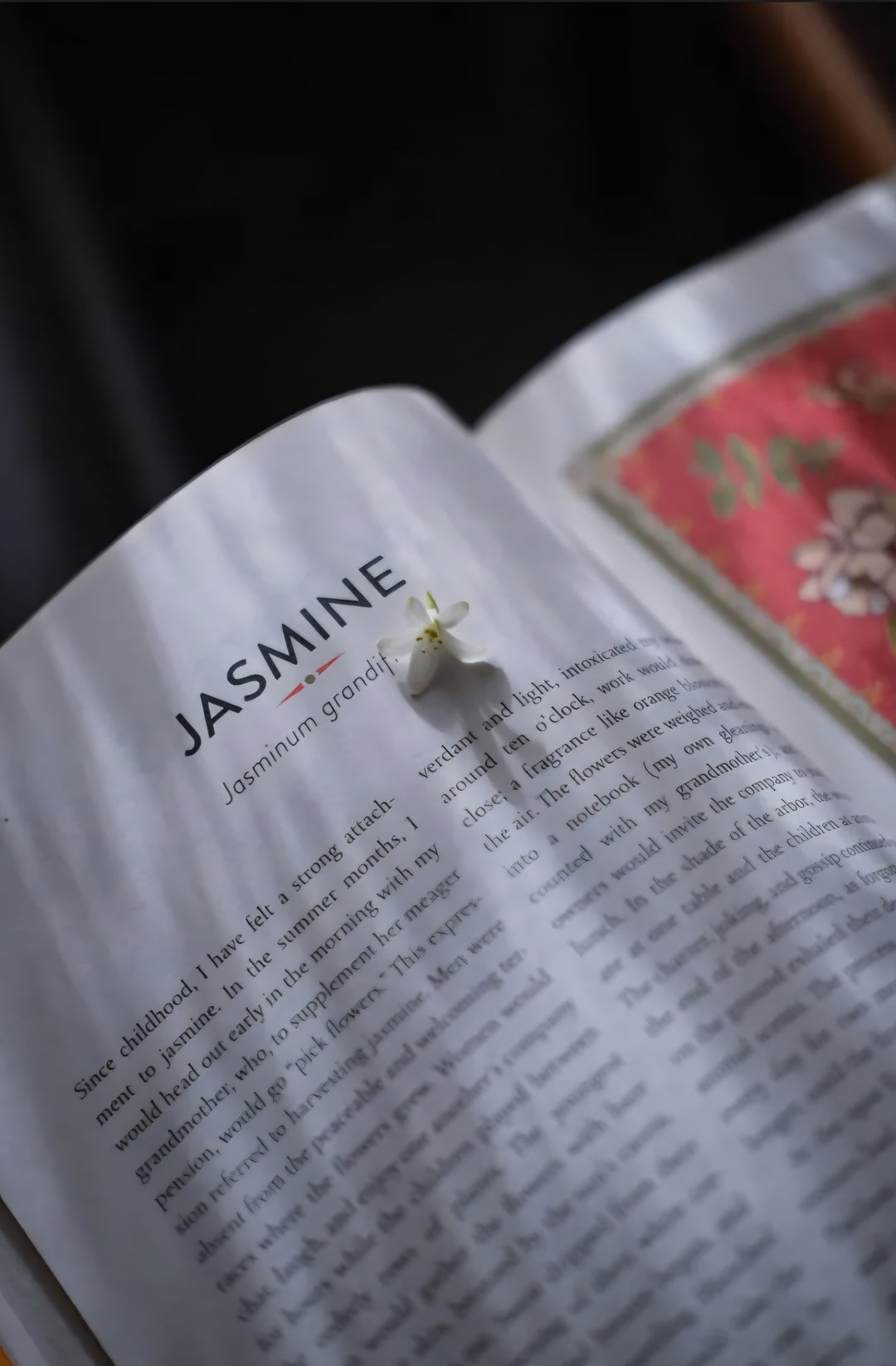 Atlas Of Perfumed Botany