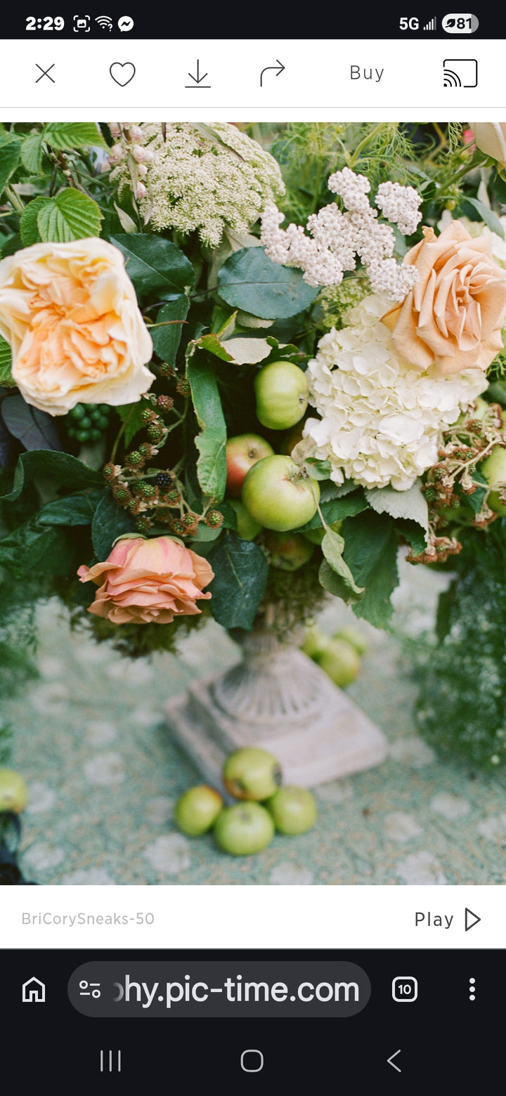 Arrangements for Ceremony