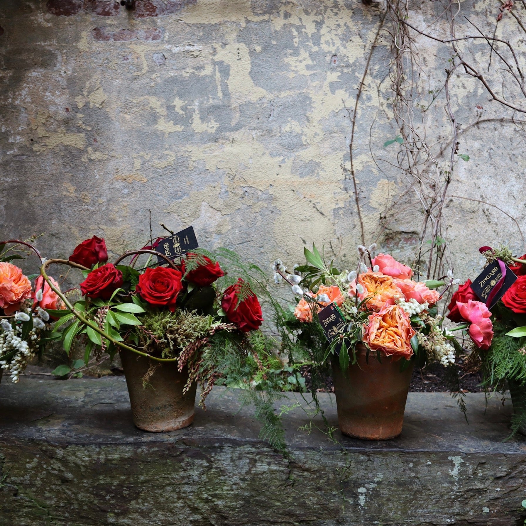 Enchanted Garden