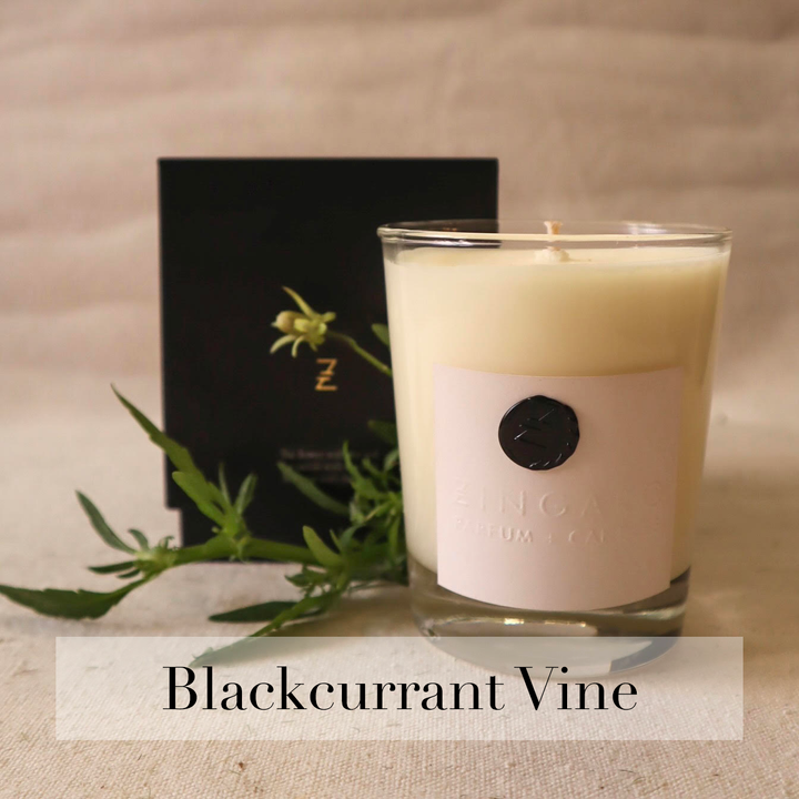 Blackcurrant Vine Candle - Zingaro Candles