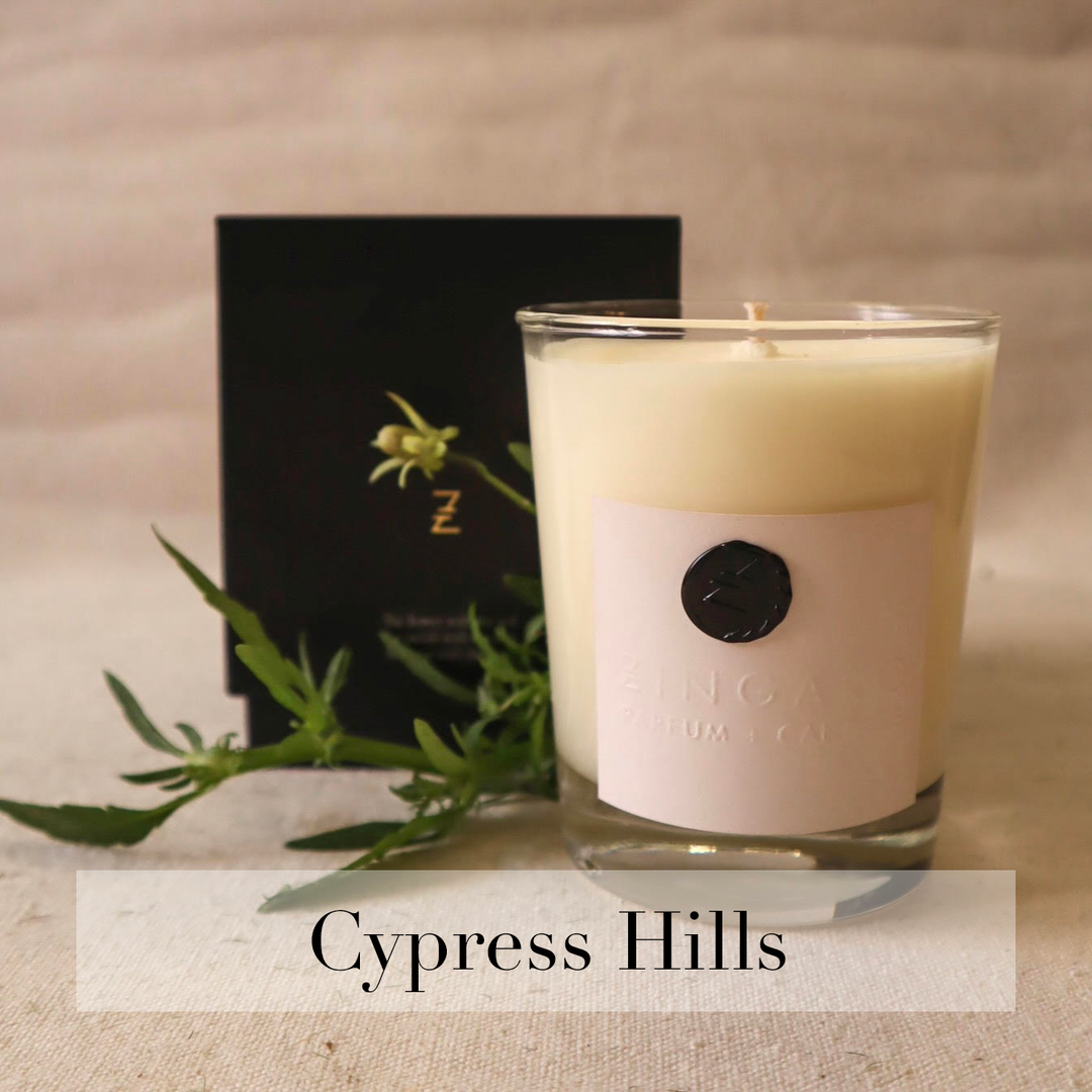 Cypress Hills Candle - Zingaro Candles