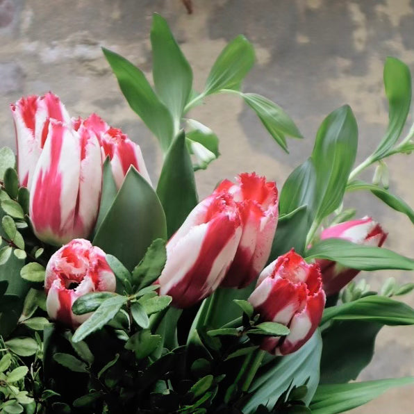 The Dutch Tulip Bunch